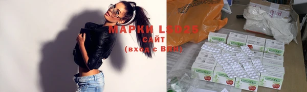 шишки Козловка