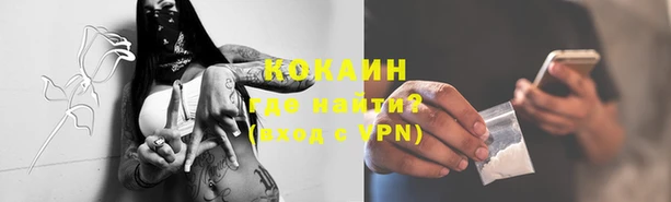 apvp Кодинск