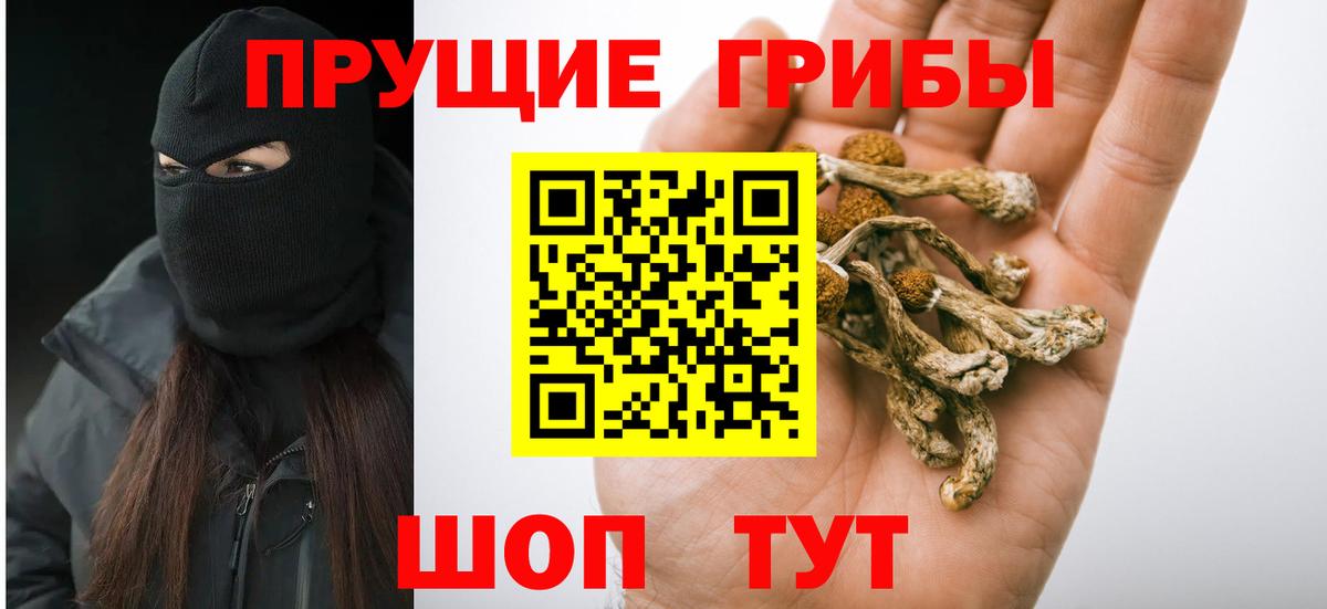 Псилоцибиновые грибы Psilocybine cubensis  Вход с VPN  наркотики  Псилоцибиновые грибы GOLDEN TEACHER  Малгобек 